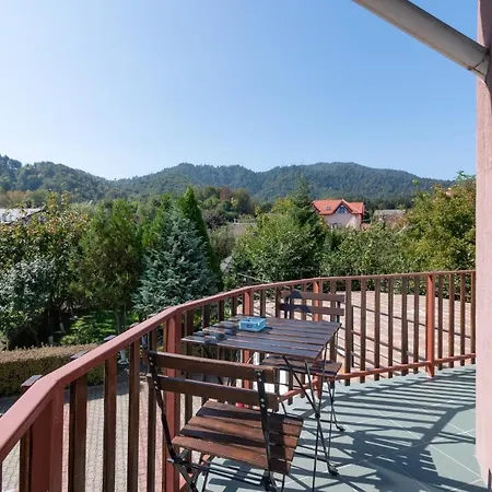 Guest house Casa Din Noua 3*
