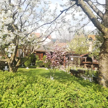 Casa Din Noua 3*